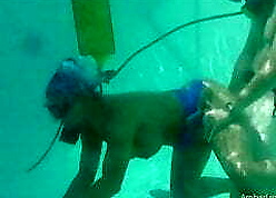 Amber Lynn Bach Scuba Turtle-dove