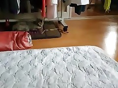 Korean housewife cleaner