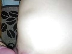 Pleven fack