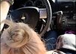 Hot Festival gives BF bonzer freak bobbin' Roadhead
