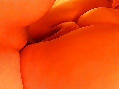 American unashamed swallow up band together creampie