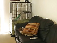 Obese Mike with regard to tara